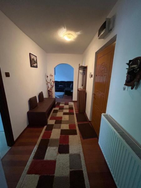 Robert Apartment